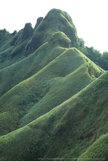 bulubundukin in English .